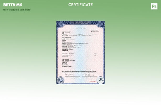 Модерен стил шаблон за уверение за смрт од државата Јужна Дакота во шаблон PSD ф